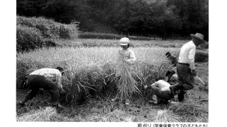 ふれあいだより36号